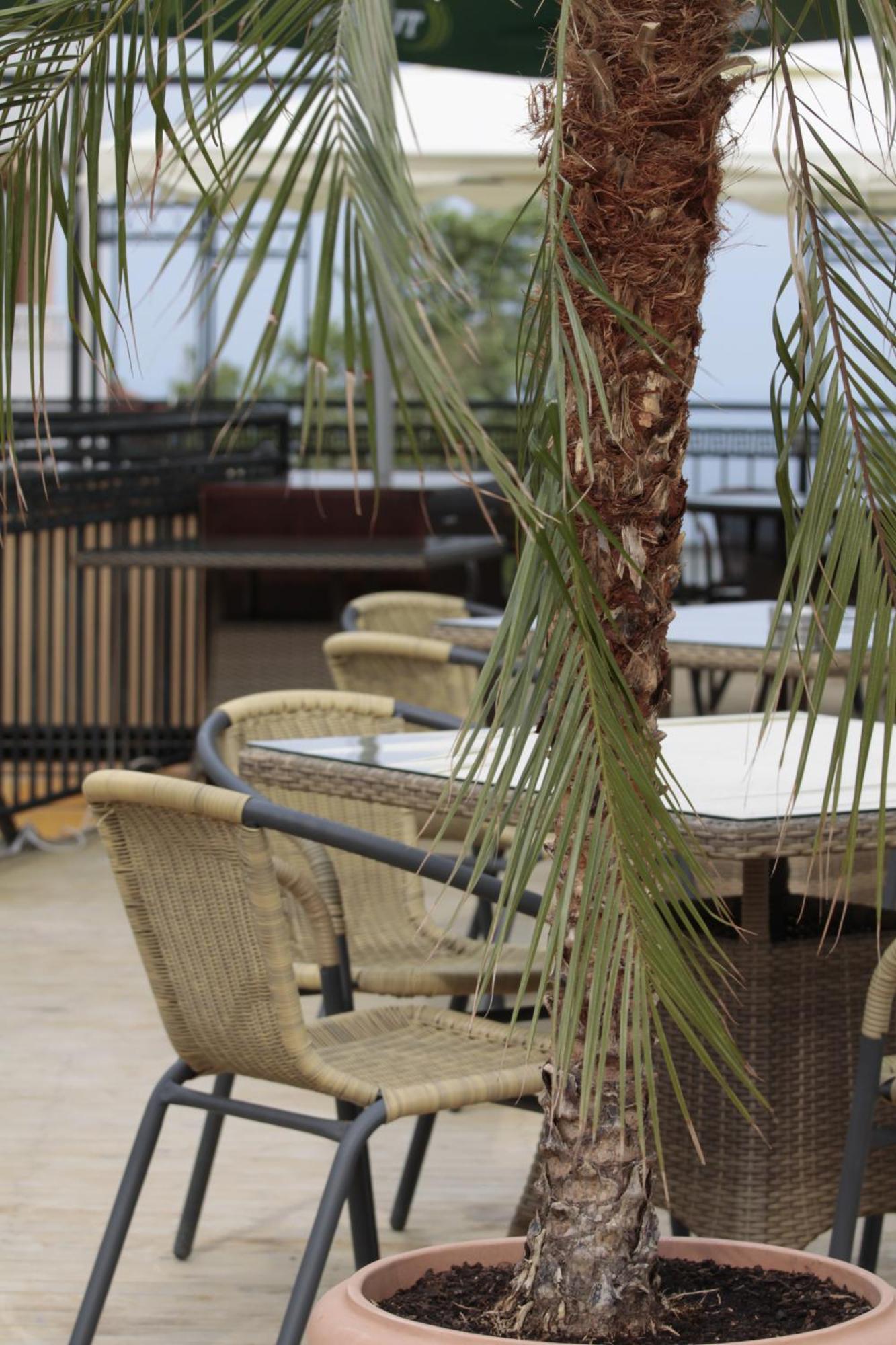 Guest House Palazzo Byala  Ngoại thất bức ảnh